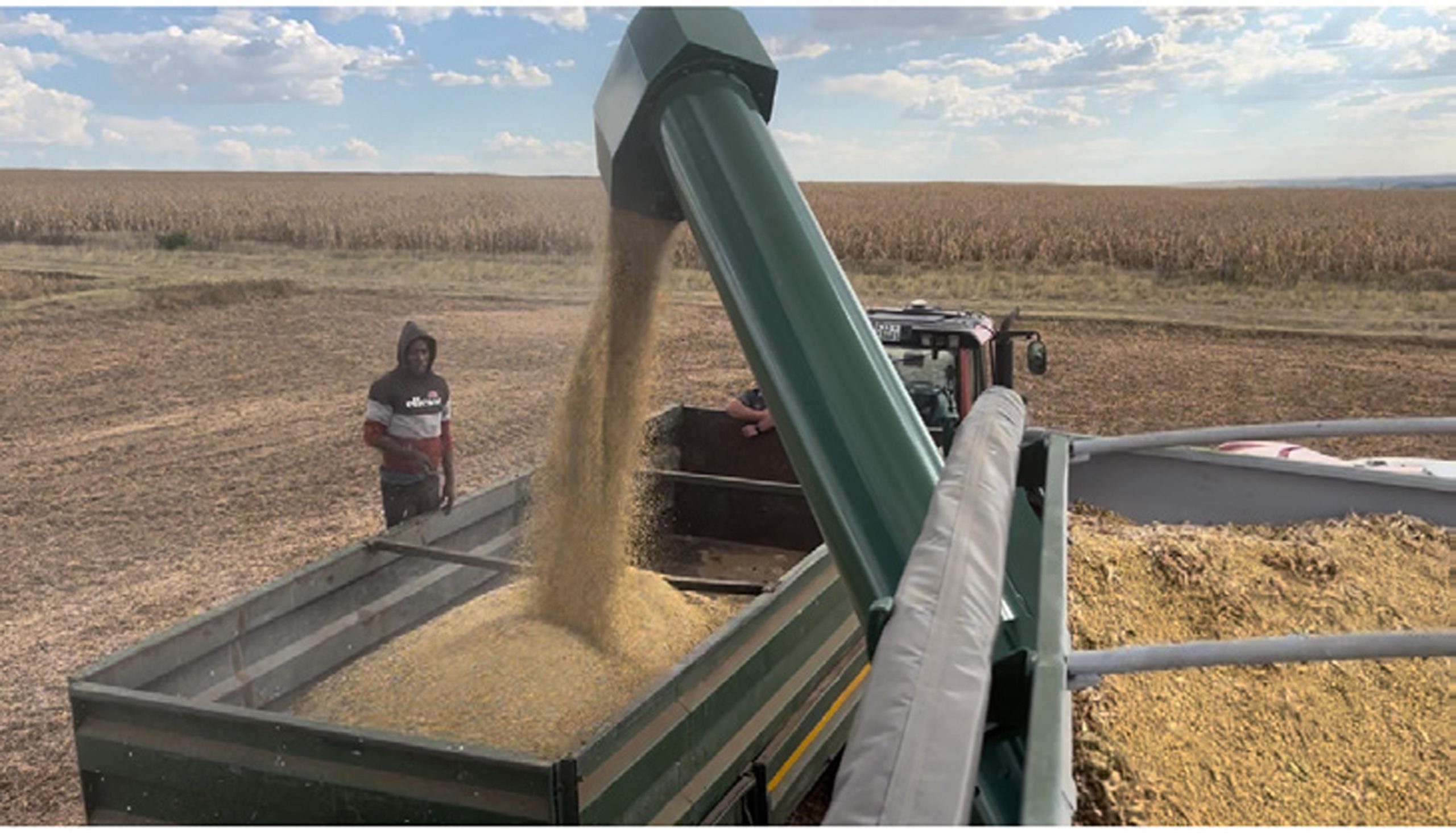 Tapkar 20m³ | Grain Cart 20m³ | V298 - Image 3