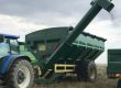 VZS 31m³ Tapkar chaser bin discharging grain during harvest.